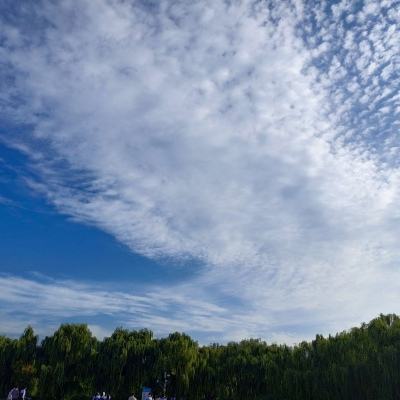 魔神猎场游戏下载