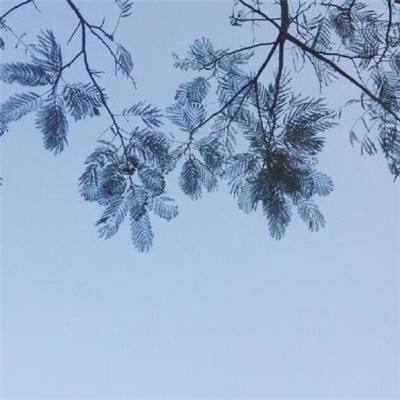 少年龙骑士破解版下载