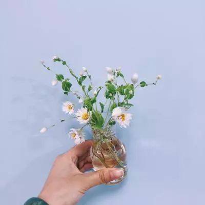 神奇幻想果盘版游戏下载